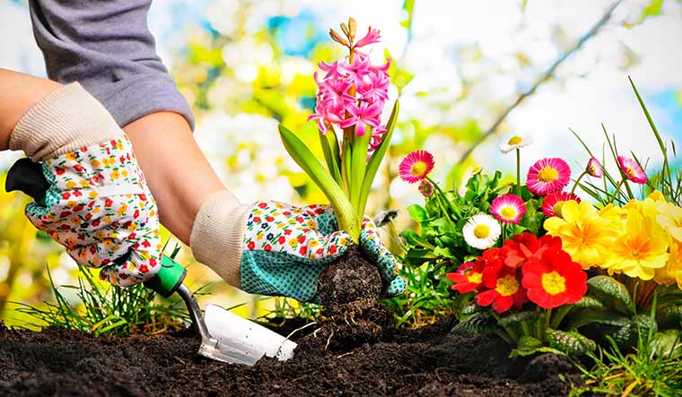 10-Gardening-Can-Boost-Mental-Wellbeing