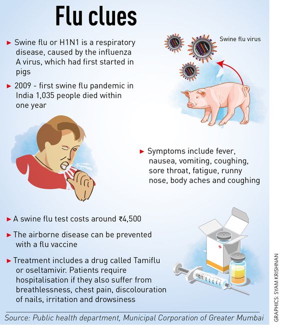53-flu-clues