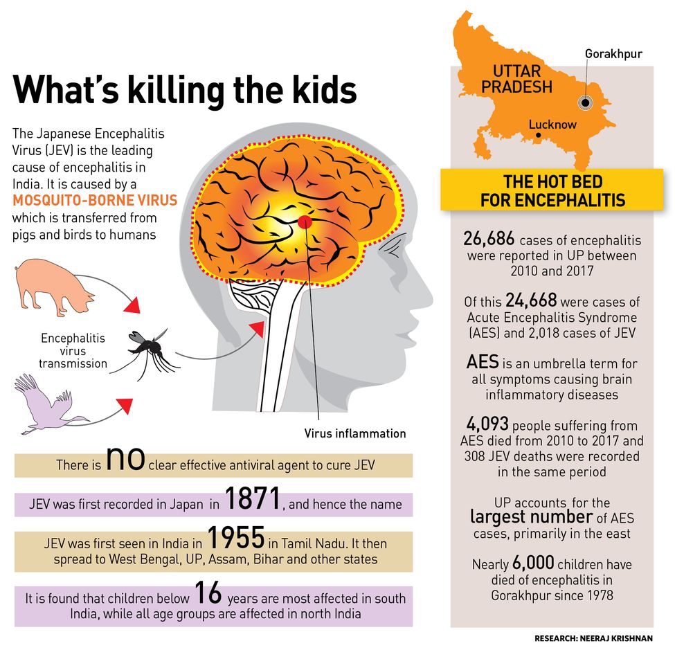 32-Whats-killing-the-kids 32-Whats-killing-the-kids