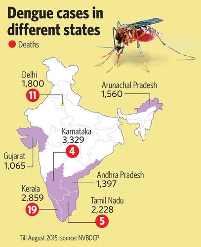 DENGUE