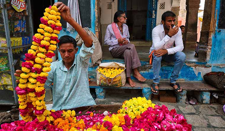 Bright future: Pushkar gives the highest per-hectare yield of roses in India, but the farmers’ earnings were limited because of the fragmented land holding | Shutterstock