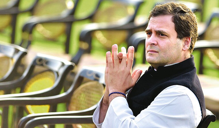 Wrong move: The timing of Congress president Rahul Gandhi’s visit to Italy to meet his grandmother is being questioned as it could affect the public perception of his leadership | PTI