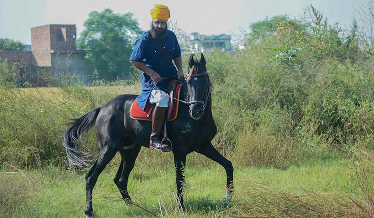 5-Nihang