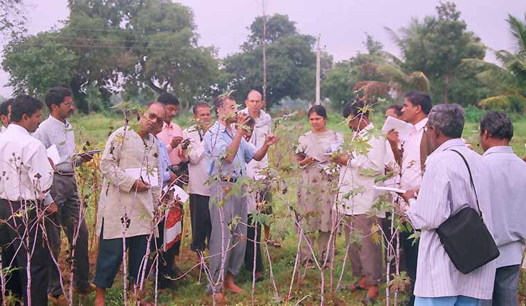 Preparing biodiversity registers with a group of school teachers from Tumakuru in Karnataka | Madhav Gadgil Collections