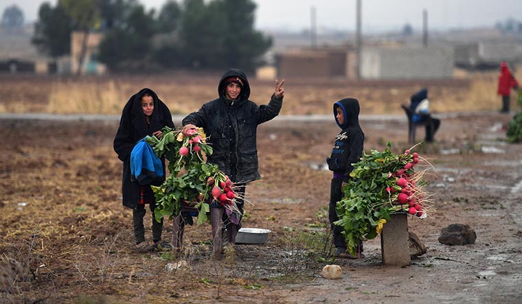 Hope floats: Children of peasants sell radish outside their farm located on the road from Al-Hasakah to Al-Hol.