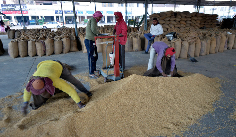 Sacked And stacked: Heaps of rice being weighed and packed after filtering at the mandi in Khanna, Asia's largest grain market