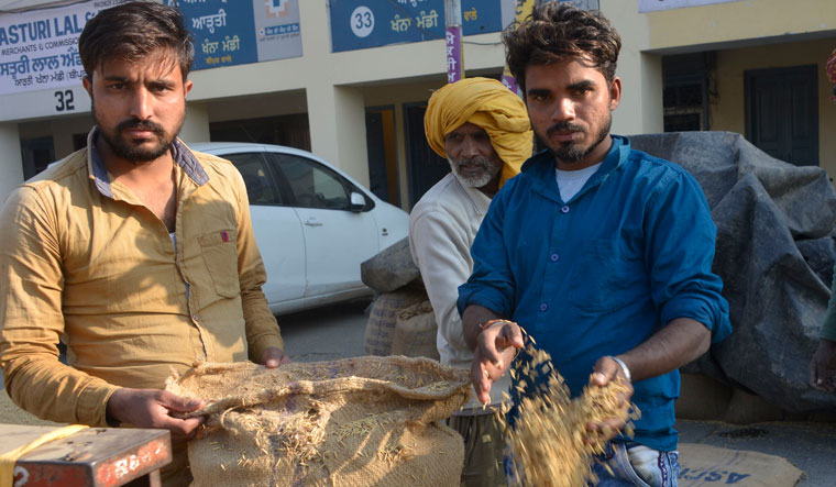 Work (Away) from home: Rajender Kumar (blue shirt) from Bihar works as a labourer at the mandi in Khanna. Many Bihari labourers head to Punjab for work as they do not earn enough on their own farms back home 