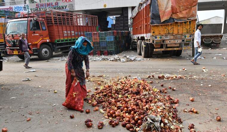perishing-vegetable_03
