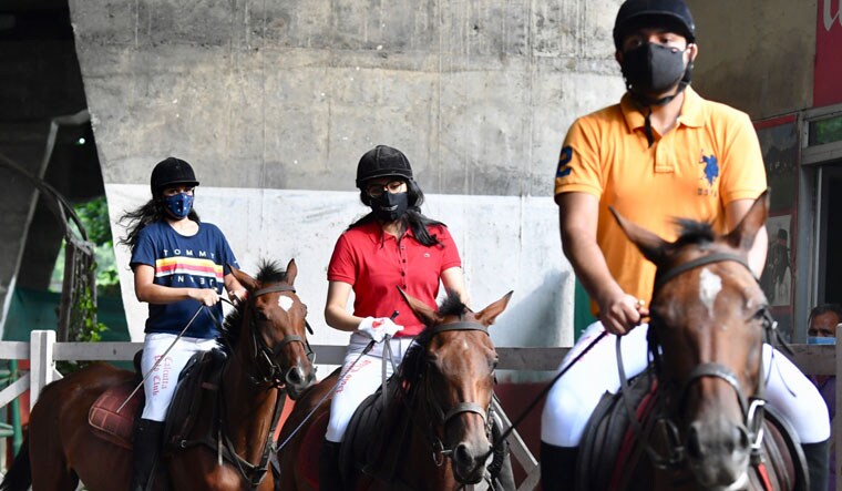 polo