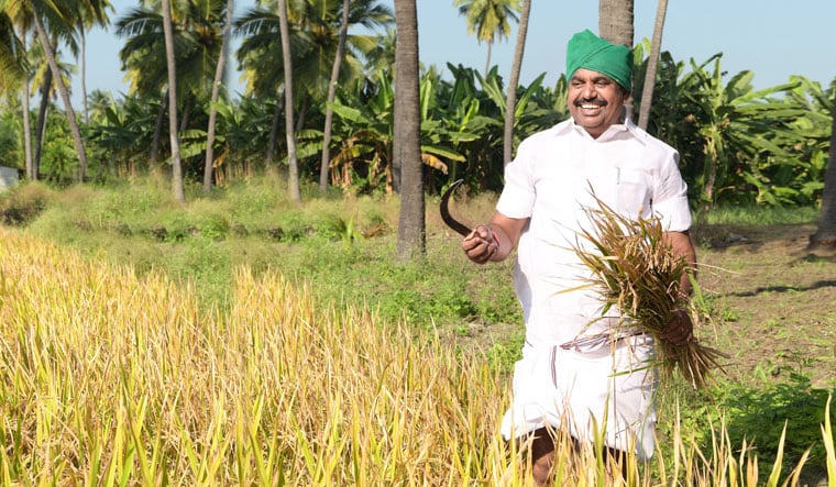 Son of the soil: palaniswami is betting on his humble, down-to-earth image to help him win the upcoming elections