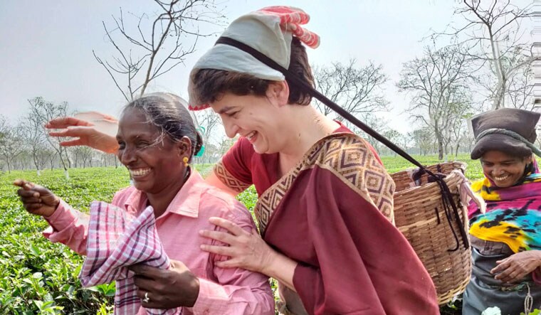 Rich harvest: Congress general secretary Priyanka Gandhi Vadra with workers at a tea garden in Biswanath, Assam | PTI