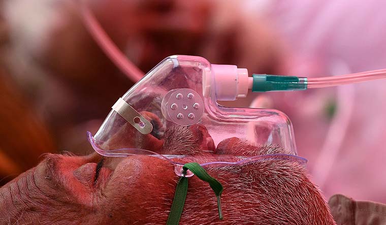 Wrong priorities: The government has been accused of trying to cover up shortage of oxygen and vaccines | AFP