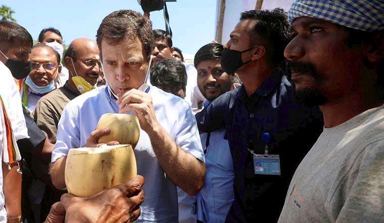 Taking a break: Rahul Gandhi on the campaign trail in Tamil Nadu | PTI