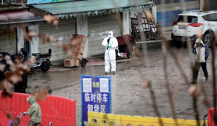 CHINA-HEALTH/WILDLIFE