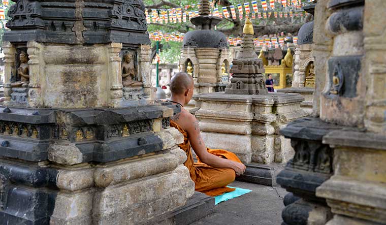 Breathing the buddha: a monk in meditation at the mahabodhi temple, bodh gaya | Arvind Jain
