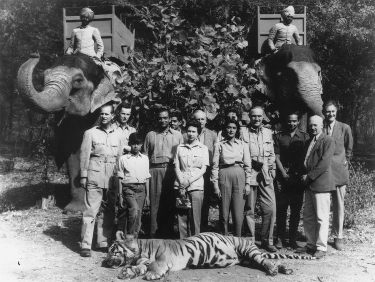 The big kill: Prince Philip (extreme left) with prince of Jaipur Jagat Singh (with his foot on the tiger), Queen Elizabeth II, and queen consort of Jaipur Gayatri Devi in January 1961. The tiger, shot by Philip, was stuffed and sent to Windsor Castle | Getty Images