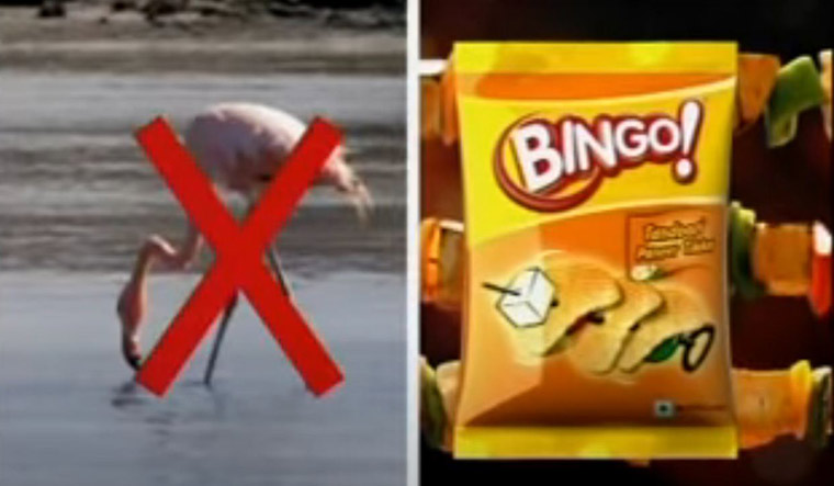 56-Bingo-ad-with-flamingo