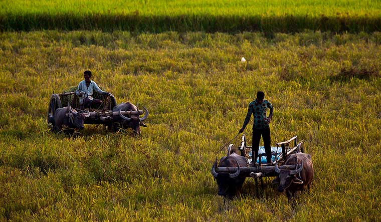 The agri-rural sector is set to receive more than Rs25 lakh crore | AFP