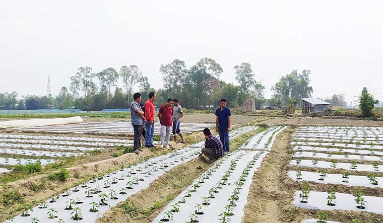 22-Agri-entrepreneurs