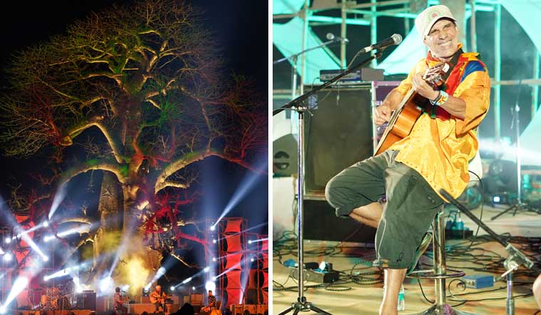 Song and symbol: The baobab tree in Orchha, in front of which Manu Chao performed.
