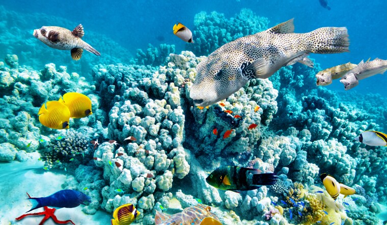 69-Great-Barrier-Reef