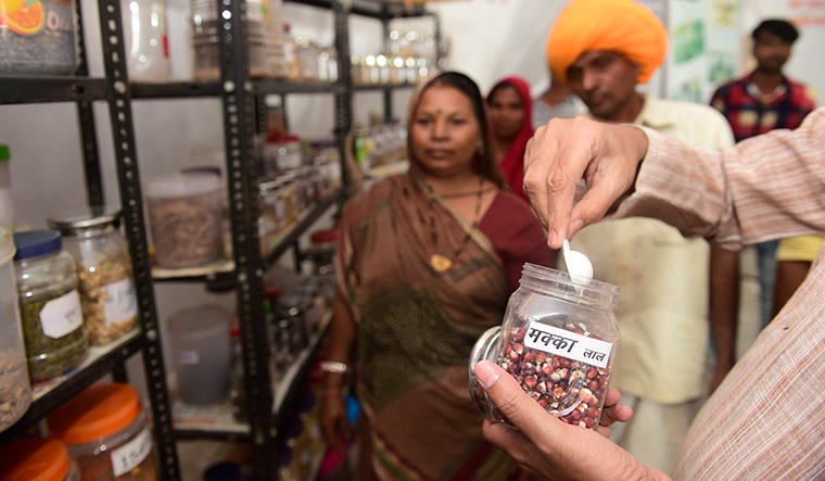 Farmers look on as Desai shows them indigenous seeds collected at Sampark Gram’s seed bank.