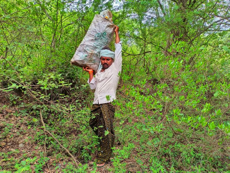 Cleaning the green: Every day, Rao collects waste from the forest and takes it to a dumping ground far away. He claims to have cleared about three truckloads worth of waste.