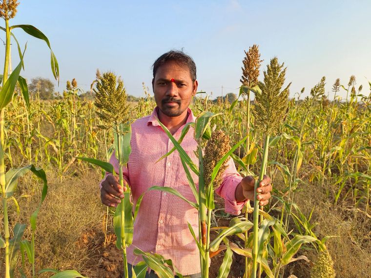 Harmony with nature: Rao on his farm, where he grows food for birds.
