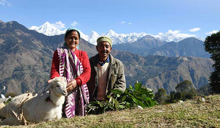 Couple goal: Jagat Singh Ganghari with wife Prema Devi trek to snow-peaked mountains to look for keeda jadi | Sanjay Ahlawat