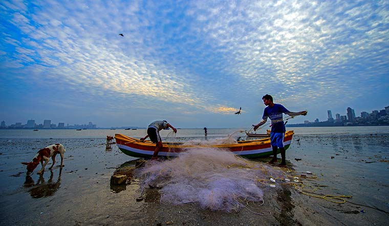 Good catch: Indian coasts provide a livelihood for 40 lakh fishermen | Vishnu V. Nair