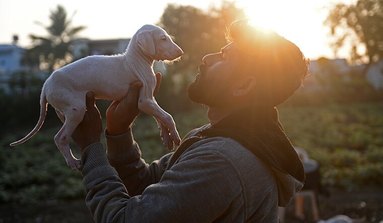 Mahantesh Chauhan from Bagalkot is a Mudhol hound breeder.