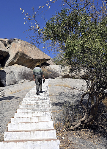 Divine and feline: A tourist takes the steps to a temple at the top of a hillock in Bera village.