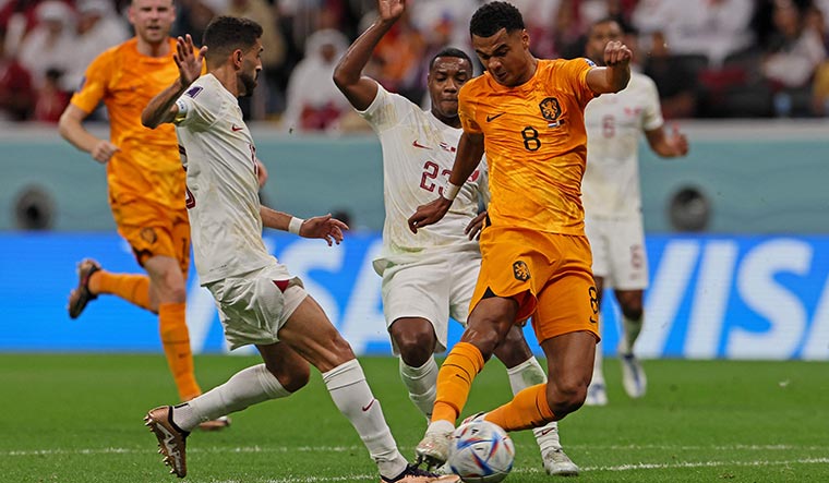 Made in eindhoven: Gakpo scores against Qatar | AFP