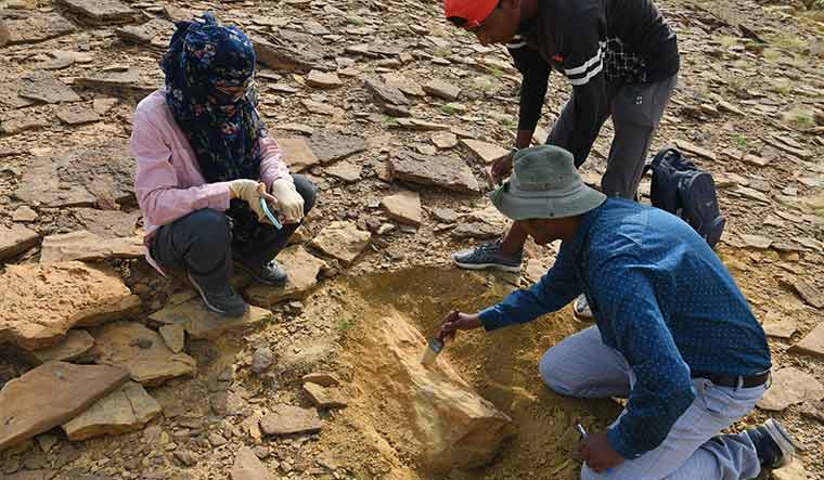 Blast from the past: A Geological Survey of India team discovers part of a fossilised tree in Jaisalmer, Rajasthan. The region has become a geological hub.
