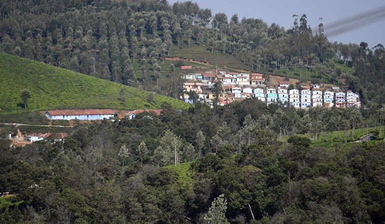Spot of bother: The Kodanad tea estate | Bhanu Prakash Chandra
