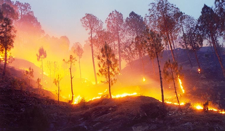 Disaster strikes: A forest fire in Kumaon division of Uttarakhand | Pawan Kumar