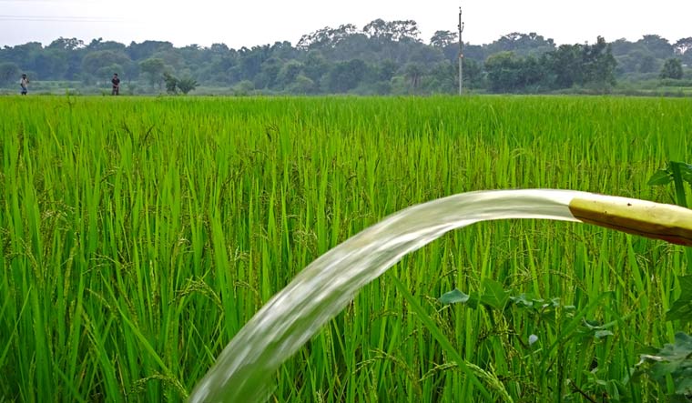 Water-flowing-from-irrigation-pipe-India-rice-paddy-agriculture-field-growing-plants-shut
