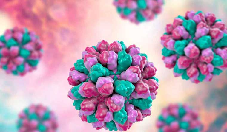 norovirus