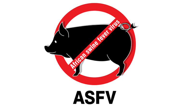 pig-African-swine-fever-shut