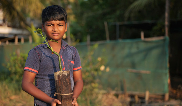 Climate India Mangrove Man