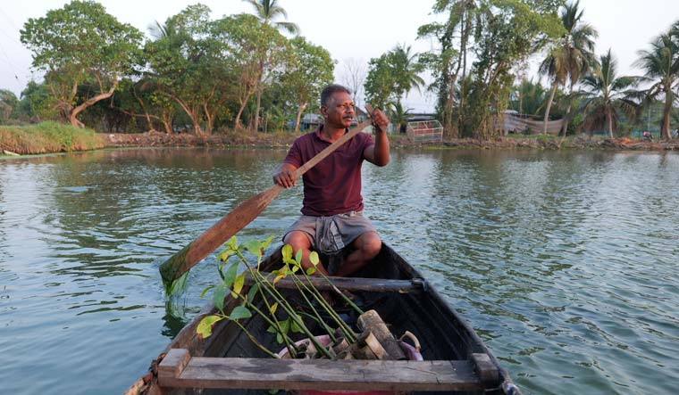 Climate India Mangrove Man