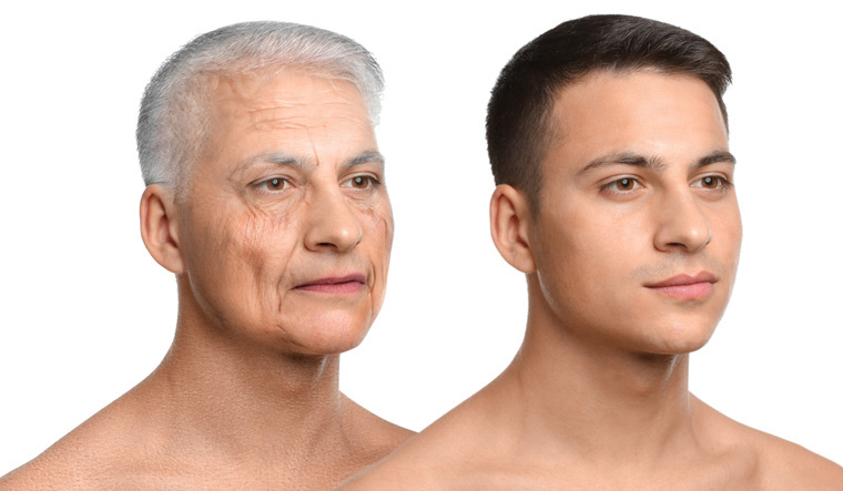 AI revolutionises ageing research: Promising anti-aging compounds  discovered - The Week
