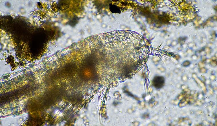 2230846825