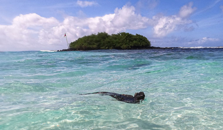 TOPSHOT-ECUADOR-ENVIRONMENT-GALAPAGOS