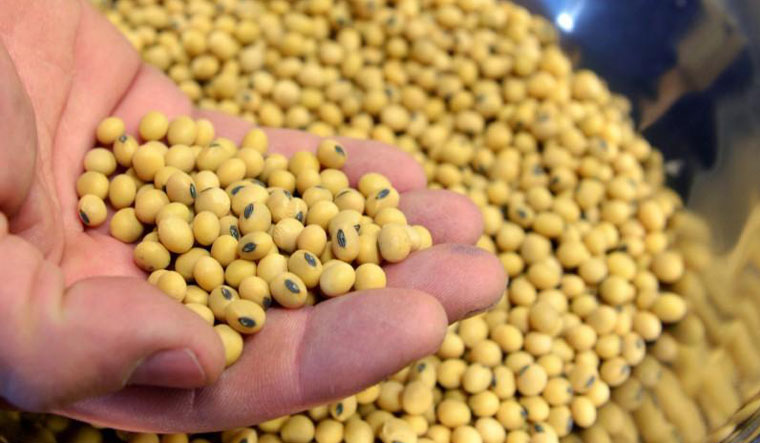 soybean-reuters