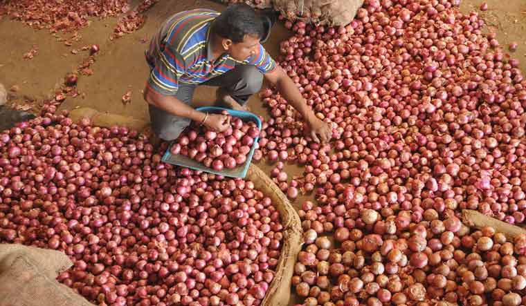 Onion export ban: Wiping off tears of people during election time