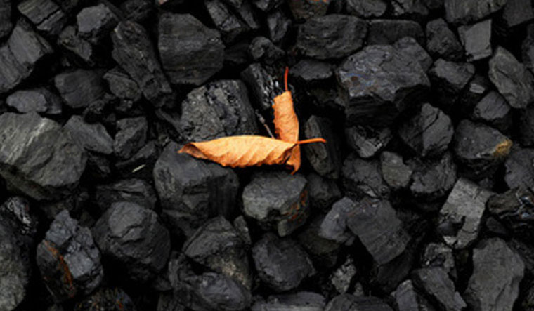 coal-rep