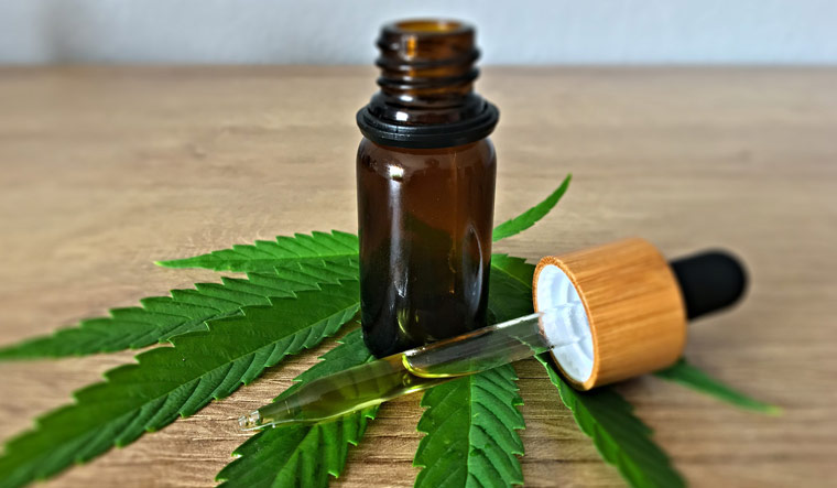 Recommended Ways to Consume CBD-based Products - The Week
