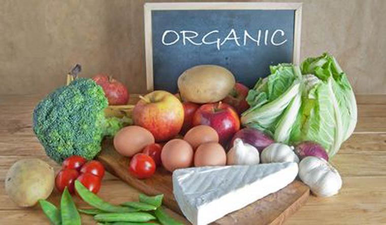 organic-foods-representational