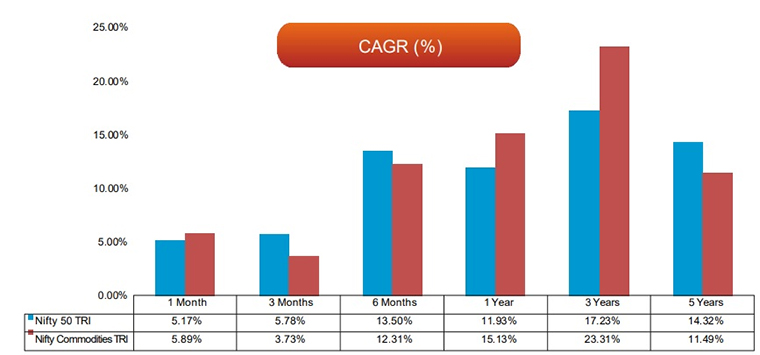 Performance-of-the-Index